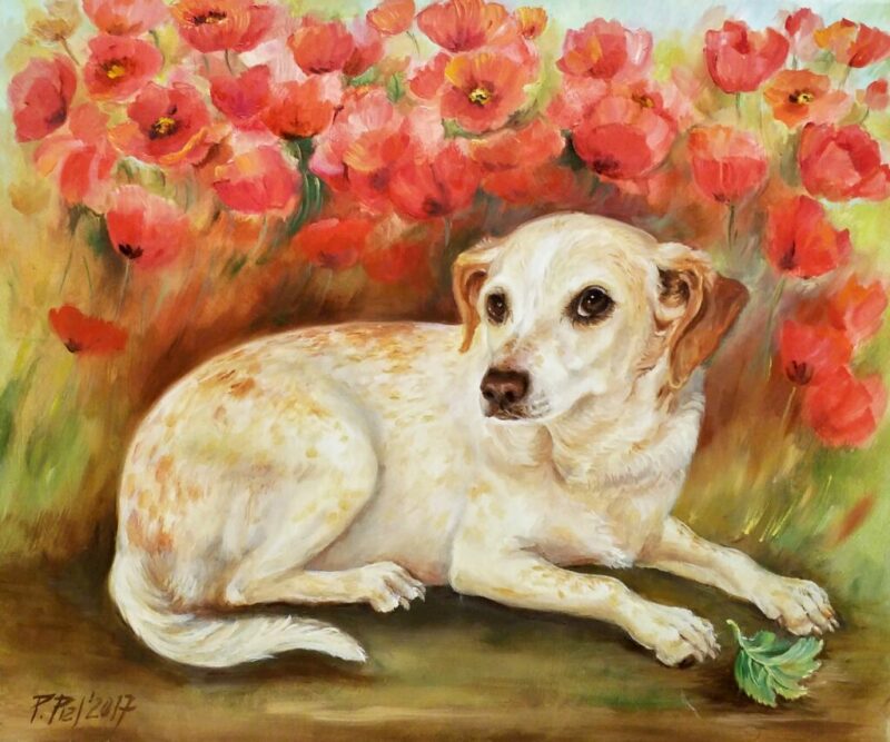 Pies - a painting by Przemiła Kościelna