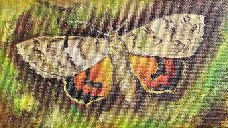 Butterfly - a painting by Przemiła Kościelna